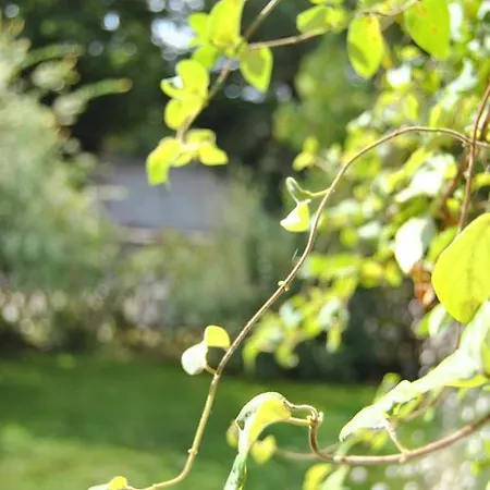 Les Quatre Saisons
