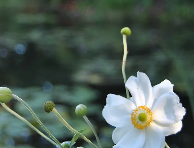 Les Quatre Saisons Giverny